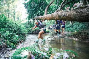 BIB: 
                            <button type="button" onclick="openModal(25447752)" class="btn btn-primary btn-sm float-right btn-popup" data-toggle="modal" data-target=".modal-high-quality">
                        <i class="fas fa-shopping-cart"></i> Add to Cart
                    </button>
                                            <button type="button" onclick="isThisMe(25447752, true)" class="btn btn-success btn-sm float-right btn-popup btn-isme hidden" data-toggle="tooltip" data-placement="bottom" title="นี่คือรูปของคุณใช่ไหม คลิกที่นี่เพื่อเอาเข้าอัลบั้ม">
                        <i class="fas fa-plus"></i> Add to album
                    </button>
                    <button type="button" onclick="isThisMe(25447752, false)" class="btn btn-warning btn-sm float-right btn-popup btn-isnotme hidden">
                        <i class="fas fa-ban"></i> Remove from album
                    </button>